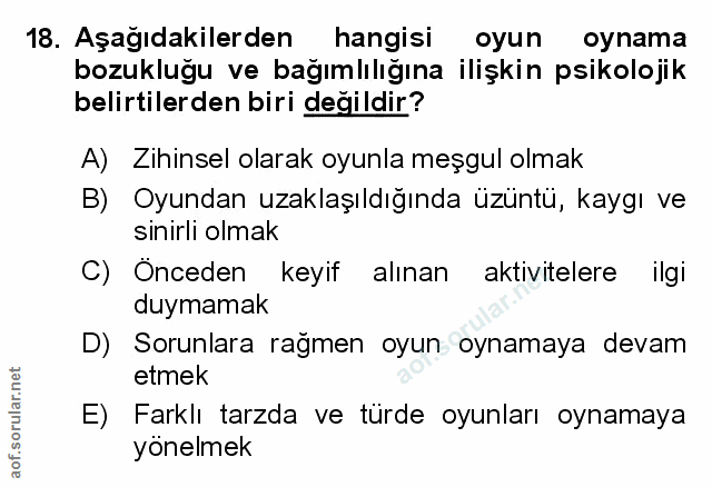 Soru 18
