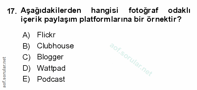 Soru 17