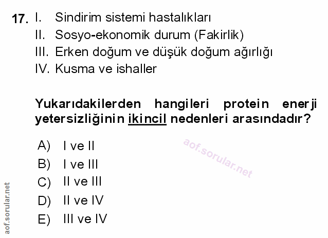 Soru 17