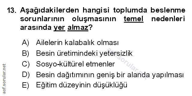 Soru 13