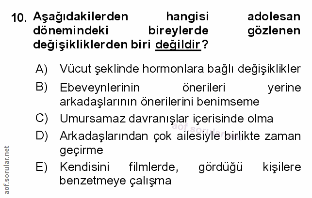Soru 10