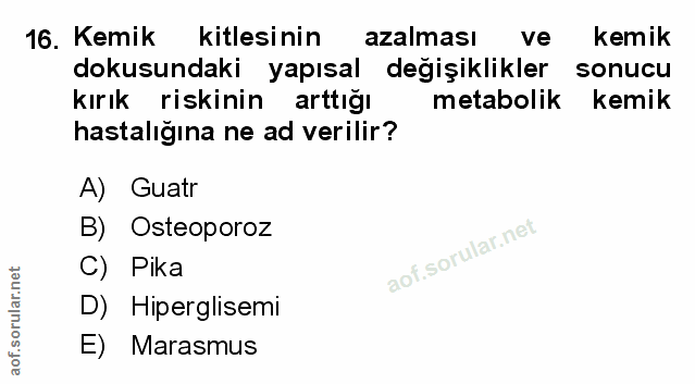 Soru 16