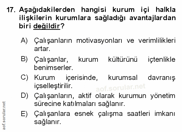 Soru 17