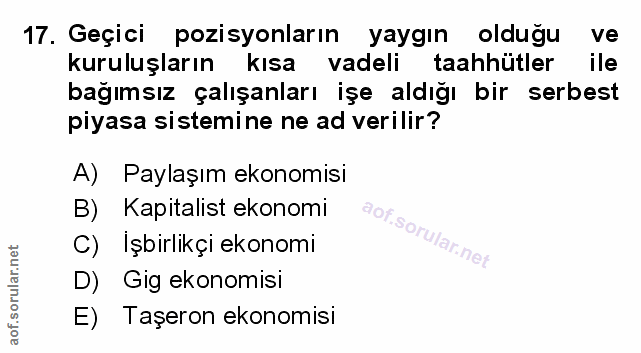 Soru 17
