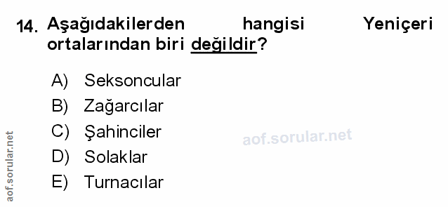Soru 14