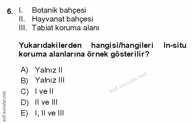 Soru 6