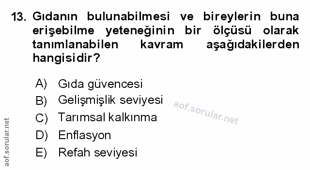 Soru 13