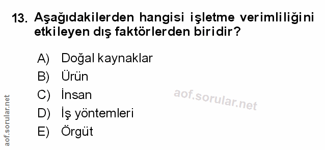 Soru 13