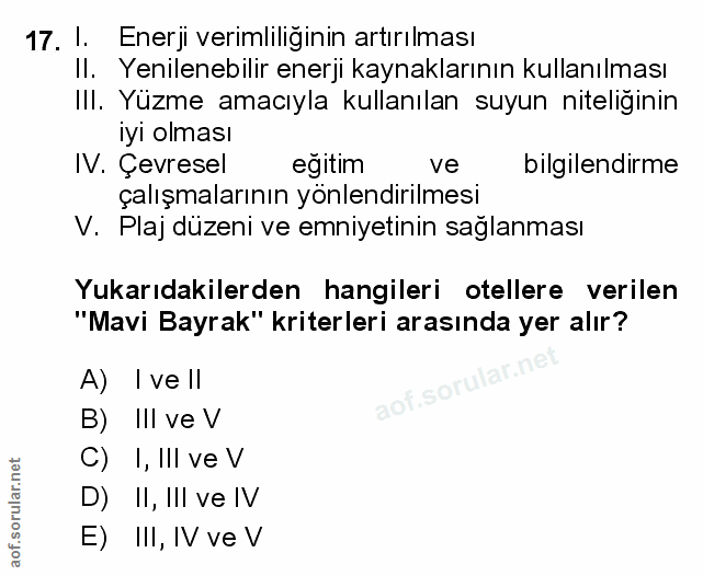 Soru 17