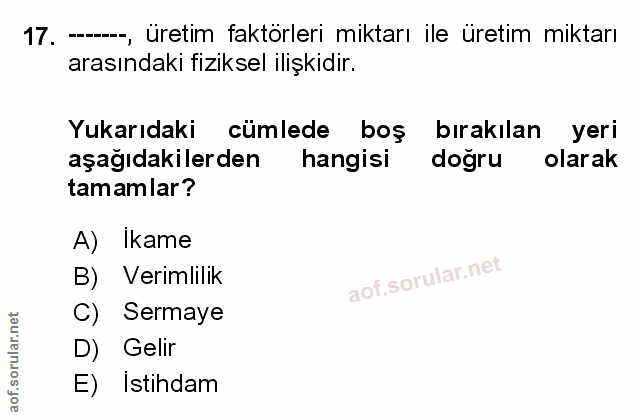 Soru 17