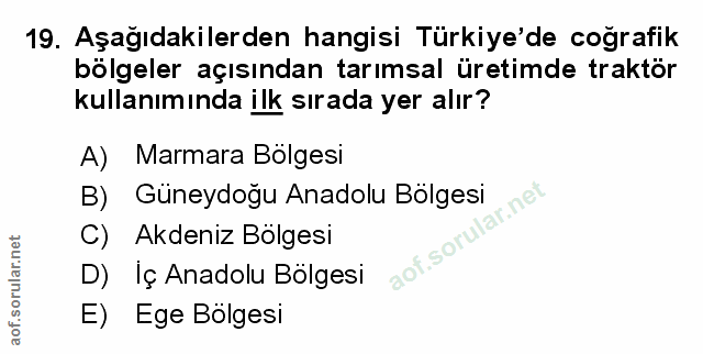 Soru 19