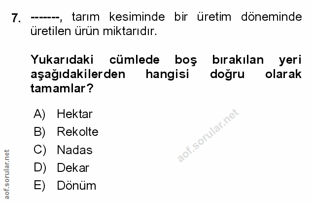 Soru 7