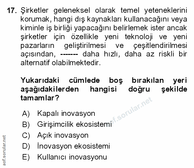 Soru 17