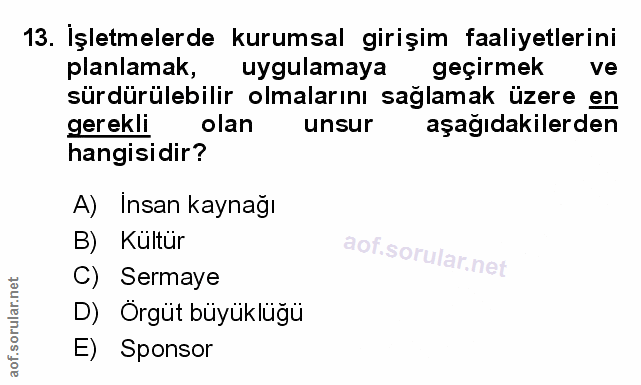 Soru 13