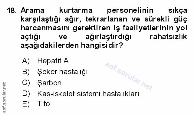 Soru 18