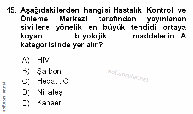 Soru 15