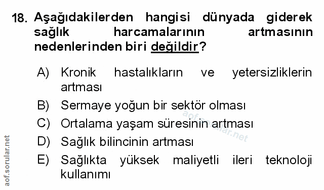 Soru 18