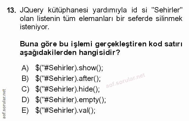 Soru 13