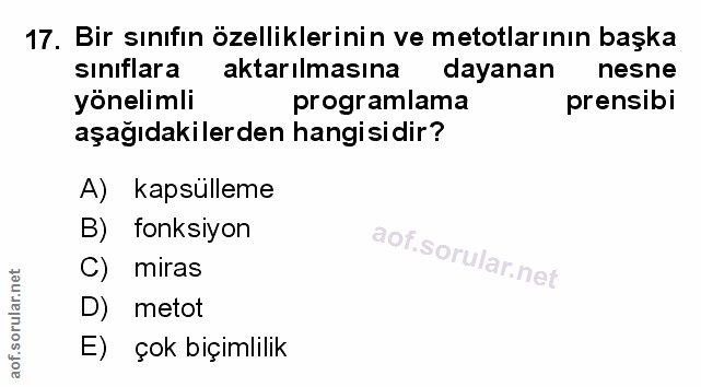 Soru 17