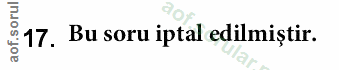 Soru 17