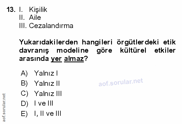 Soru 13