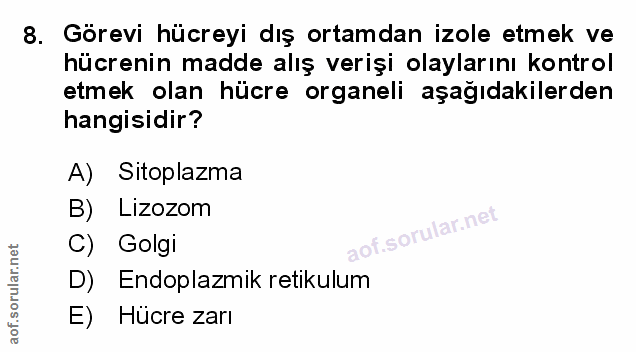 Soru 8