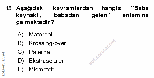 Soru 15