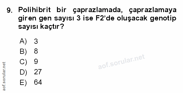 Soru 9