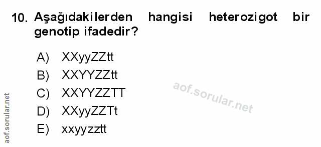 Soru 10