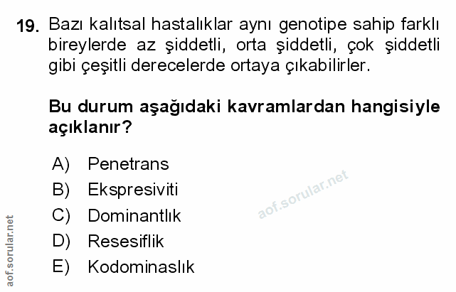 Soru 19