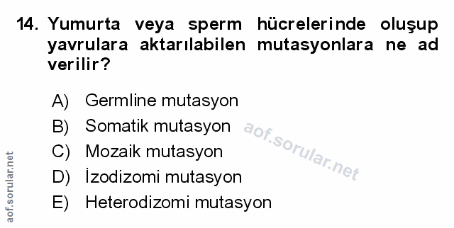 Soru 14