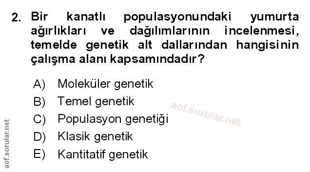 Soru 2