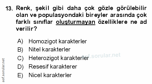 Soru 13