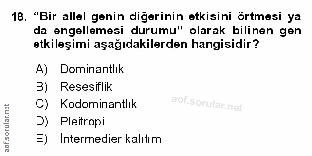 Soru 18