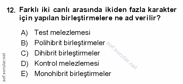 Soru 12