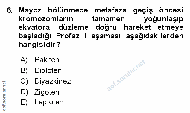Soru 6