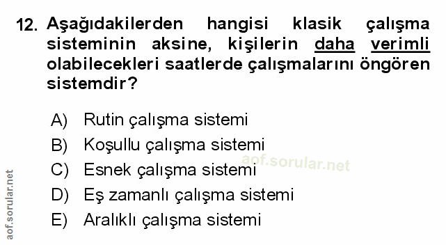 Soru 12
