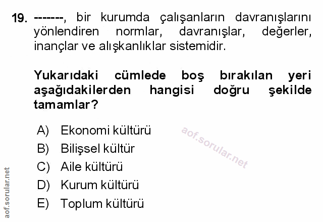 Soru 19