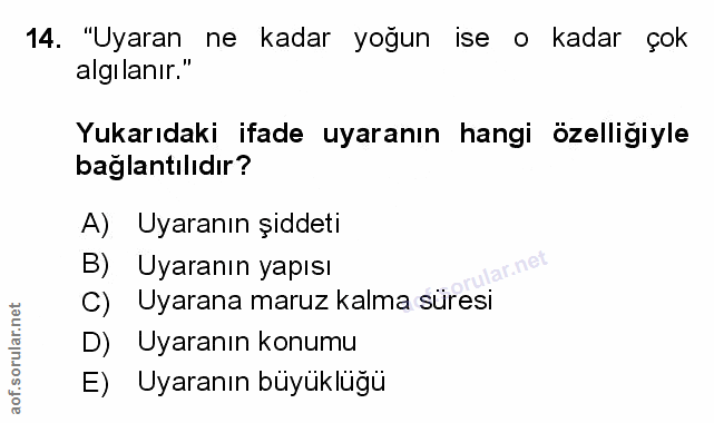 Soru 14