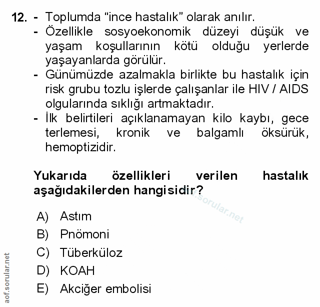 Soru 12