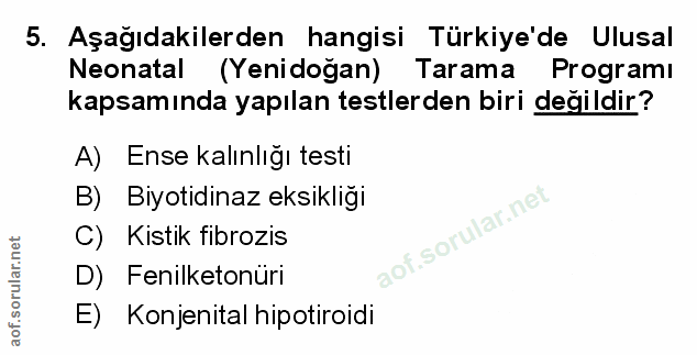 Soru 5