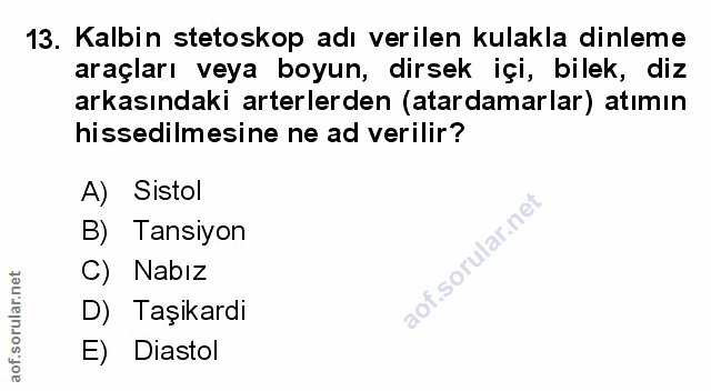 Soru 13
