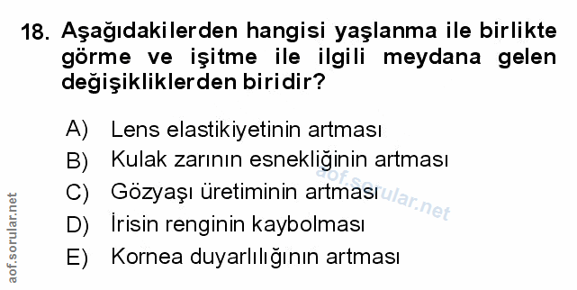 Soru 18