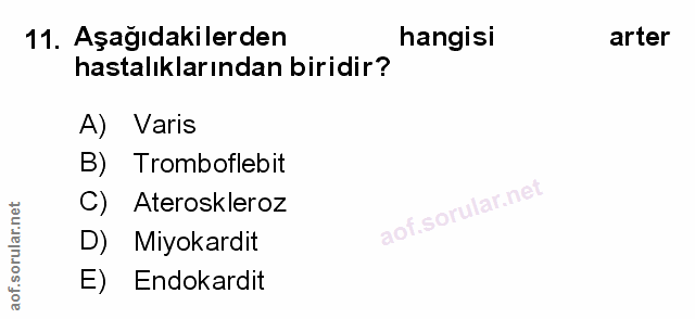 Soru 11