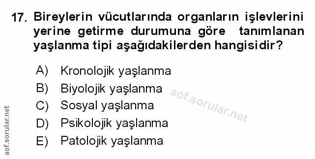 Soru 17