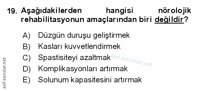 Soru 19