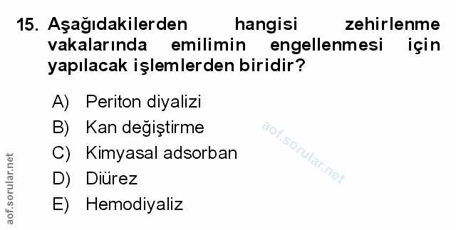 Soru 15