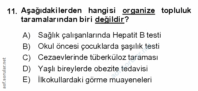 Soru 11