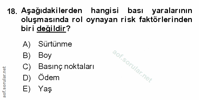 Soru 18