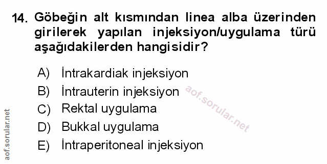 Soru 14